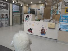 -谐和益家动物医院·免疫绝育·血液透析·宠保定点医院(高新伊藤分院)