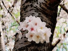 -白塘生态植物园