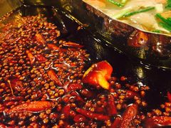 -朱氏胖子烂火锅(洪崖洞店)