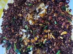 -胖大姐黄辣丁鱼庄(新津店)