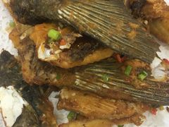 -凯盈阁·顺德私房菜·桑拿鸡