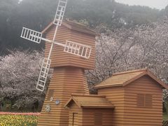 -苏州上方山国家森林公园