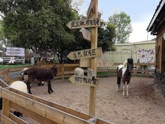 -HERRE·FARM 赫尔露营农场·团建聚会包场