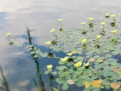 -北湖公园