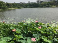 -江南大学(蠡湖校区)