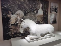 -宁夏博物馆