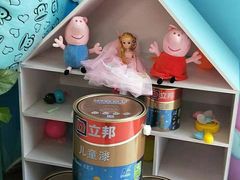 -立邦(武侯区西部专卖店)