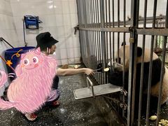 -中国大熊猫保护研究中心雅安碧峰峡基地