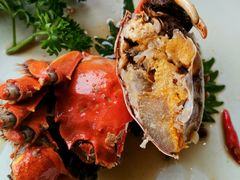 -新光酒家·河豚·海鲜·蟹料理(浦东店)