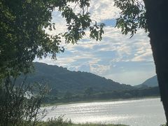 -风云岭森林公园