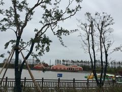 -上海长兴岛郊野公园