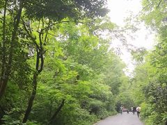 -大蜀山国家森林公园