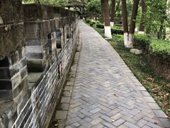 -桂湖森林公园