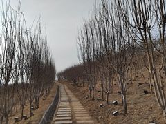 -河北省园博园
