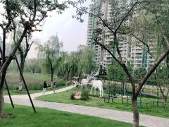 -西北湖绿化广场