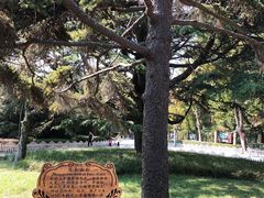 -青岛德国总督楼旧址博物馆