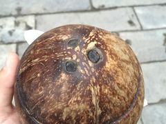 -志龙皇冠吃货椰子铺