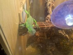 -Rabbit Cafe私房西餐甜点咖啡(栖霞路店)