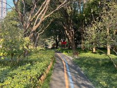 -陆家嘴中心绿地