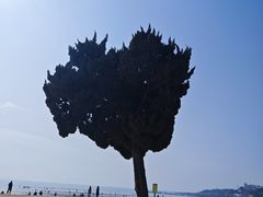 -青岛第一海水浴场