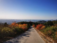 -北京西山国家森林公园