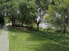 -新江湾城公园