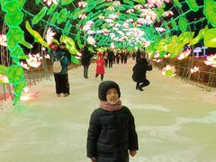 -沈阳奥体冰雪嘉年华