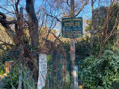 -EG Waterhouse Camellia Gardens Sutherland Shire