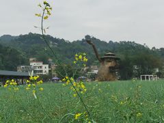 -红山村