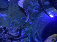 -成都浩海立方海洋公园