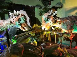 -恐龙探索乐园(磁器口店)