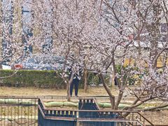 -安定门(地铁站)