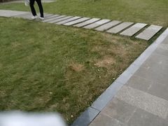 -巢爷老味(东方红店)