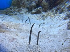 -鹿儿岛水族馆