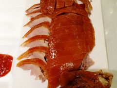 -正阳春烤鸭(华捷道店)
