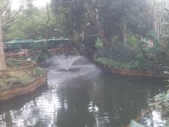-海南热带野生动植物园