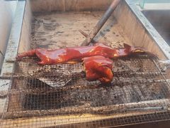 -东方之猪四更烤乳猪(金垦总店)