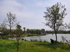 -上海长兴岛郊野公园