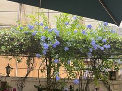 -茶米人台湾料理·精致快简餐