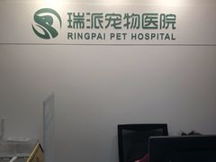 -瑞派天宁宠物医院·猫科·异宠中心