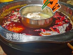 -陈陈火锅(较场口店)