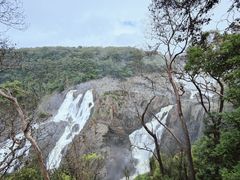 -热带雨林自然公园