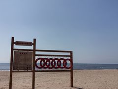 -日照海滨国家森林公园