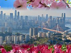 -南山植物园