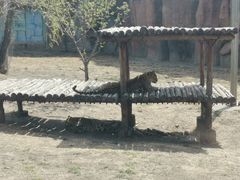 -齐齐哈尔龙沙动植物园