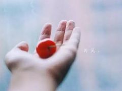 -香港皇家太平洋酒店