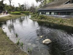 -成飞公园