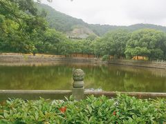 -阿育王寺