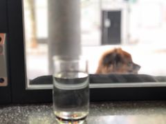 Ms&nbsp;zizi&nbsp;-Apollo·西班牙小酒馆(安福路店)