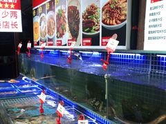 水产区-必点海鲜·鲅鱼水饺(鞍山西道店)